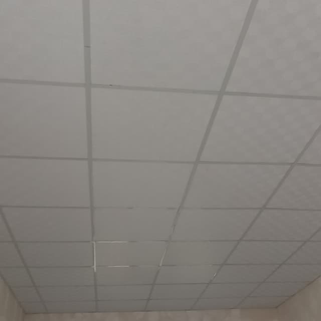 G-tile United almas