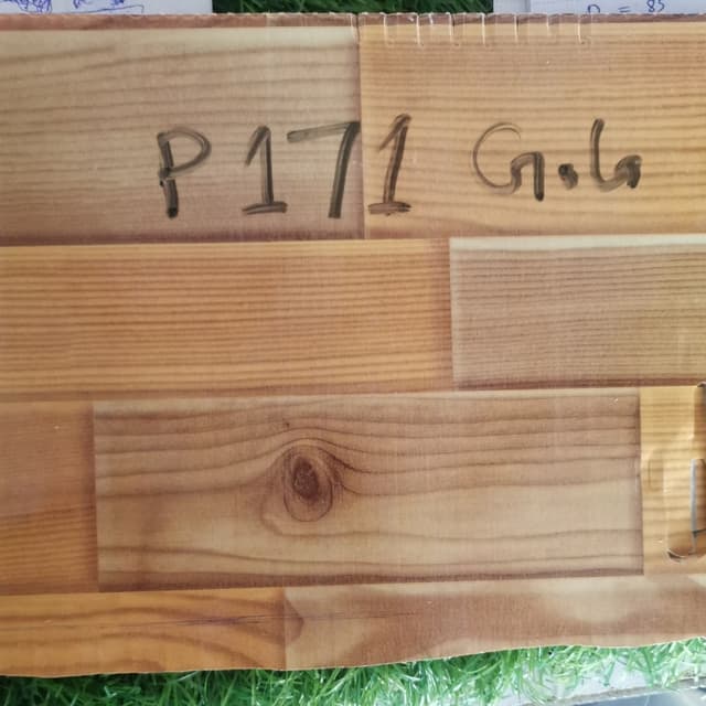 Gola - P 171