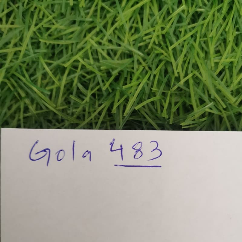 Gola - 483