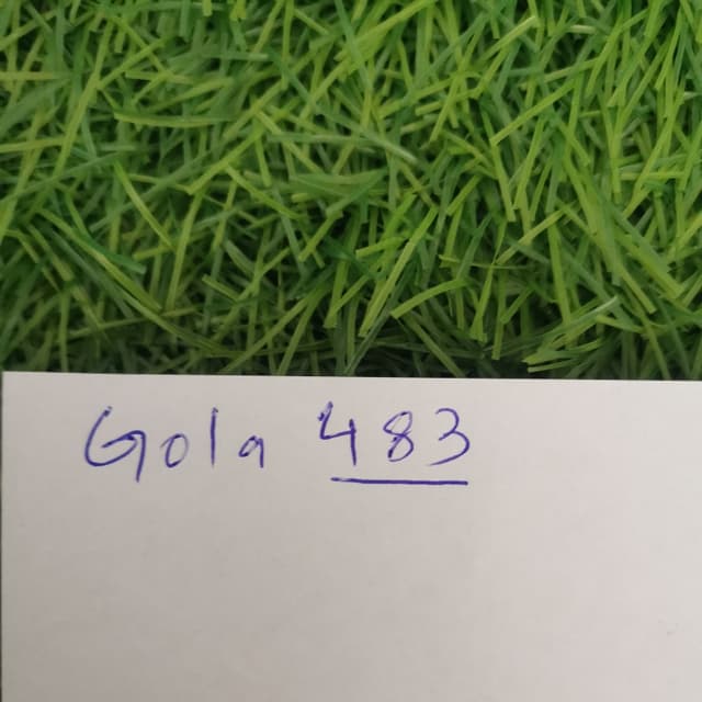 Gola - 483