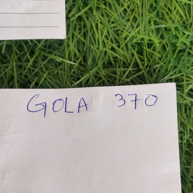 Gola - 370 Yt