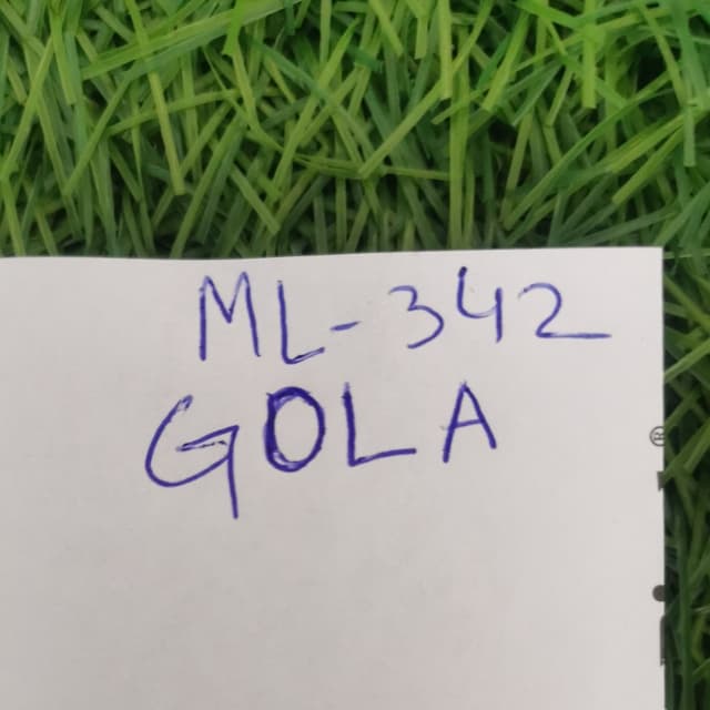 Gola - 342