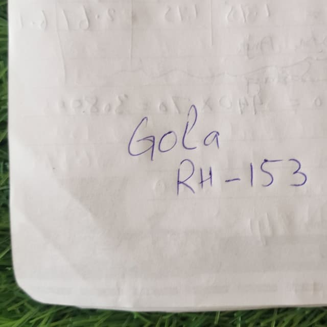 Gola - RH 153