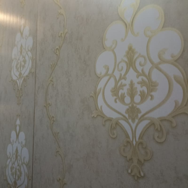 Gola - hd 1631 panel